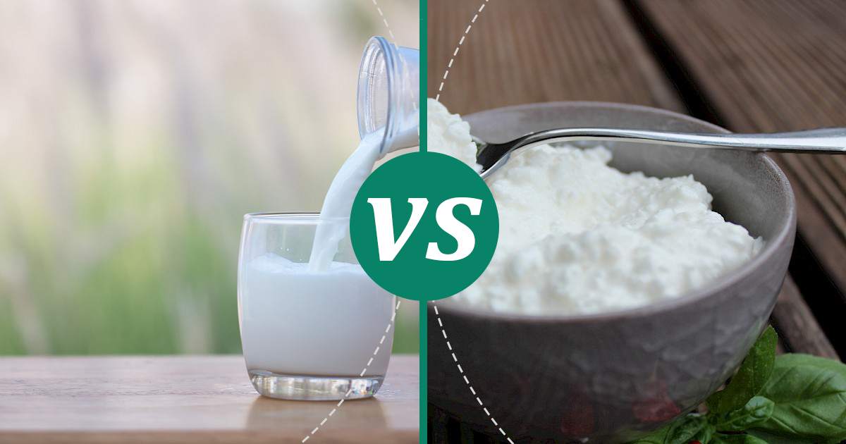 Cottage Cheese vs Whole Milk Make Healthy Choices
