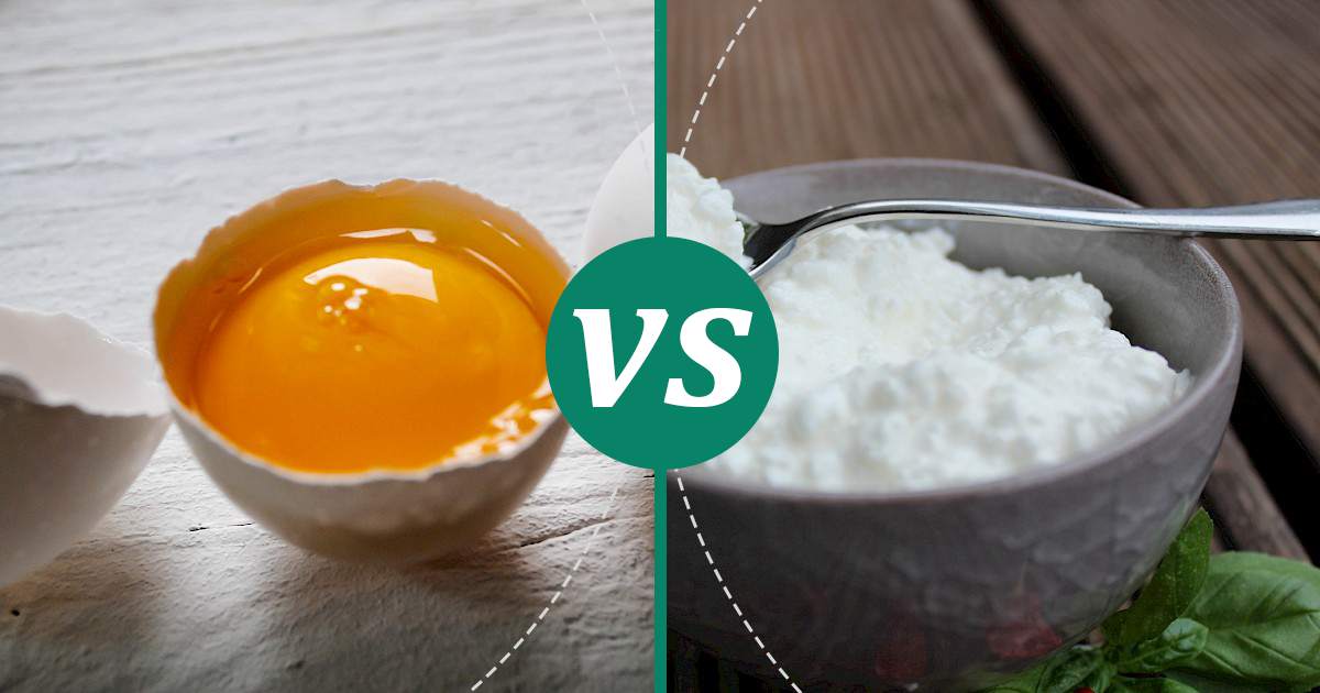 Cottage Cheese vs Egg Yolk Nutrition Guide