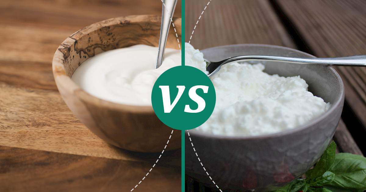 Cottage Cheese vs Sour Cream (No Fat) Make Healthy Choices