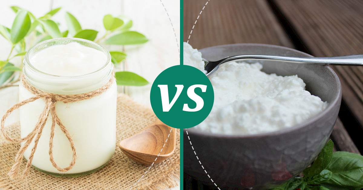 Cottage Cheese vs Plain Yogurt What Should You Choose?