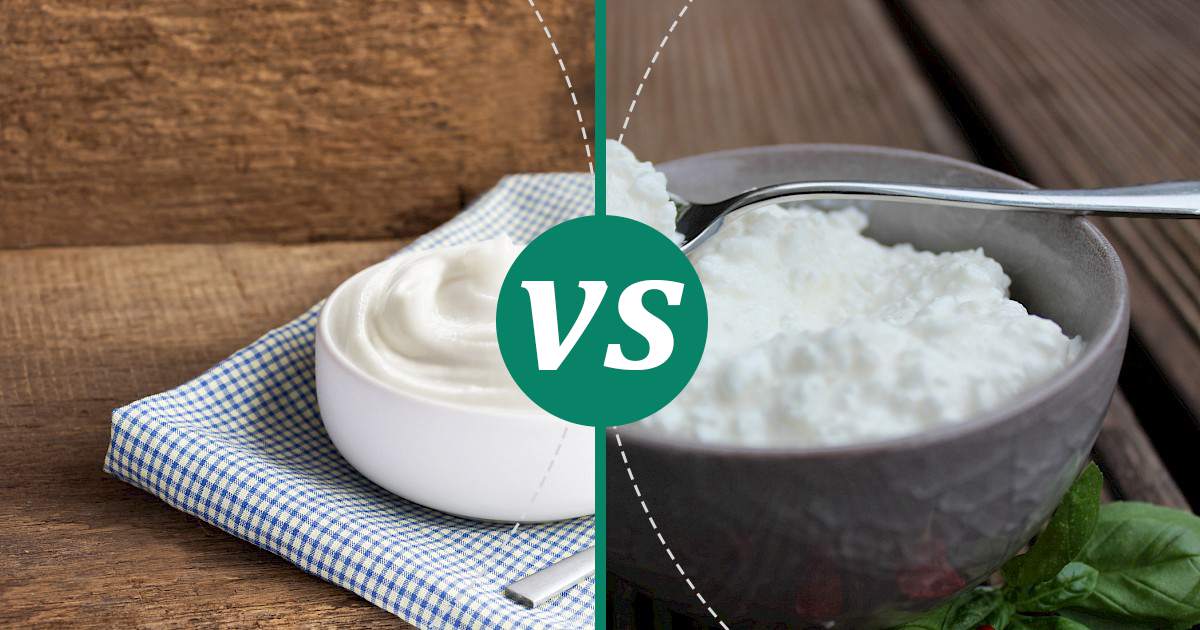 Cottage Cheese vs Greek Yoghurt Nutrition Comparison