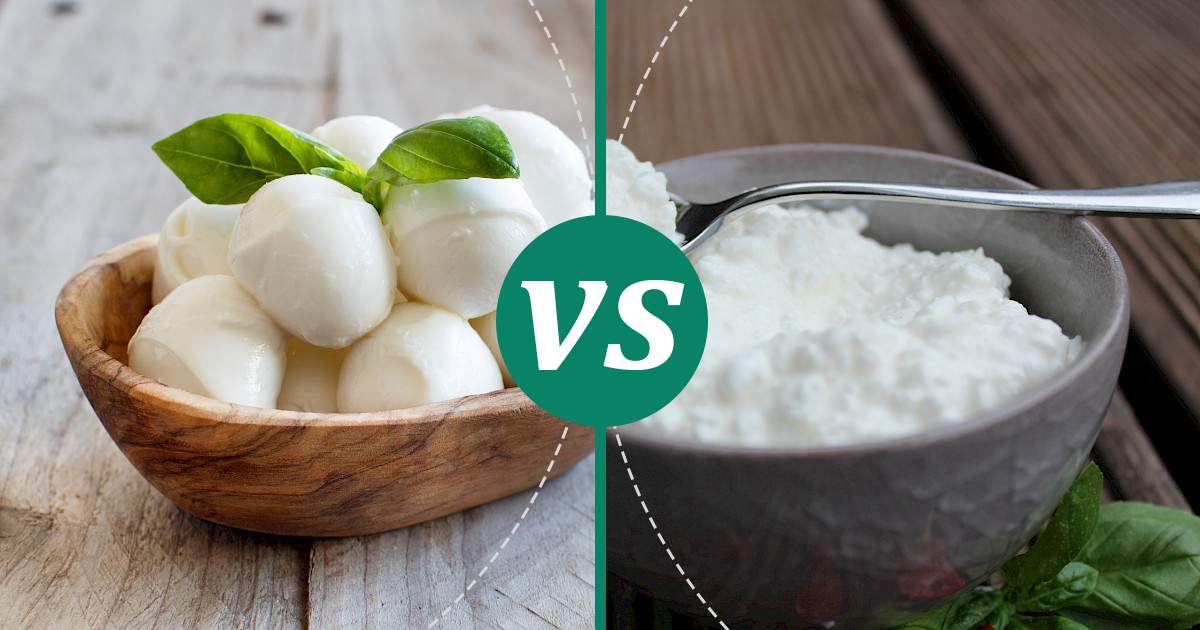 Cottage Cheese vs Mozzarella Cheese Nutrition Showdown