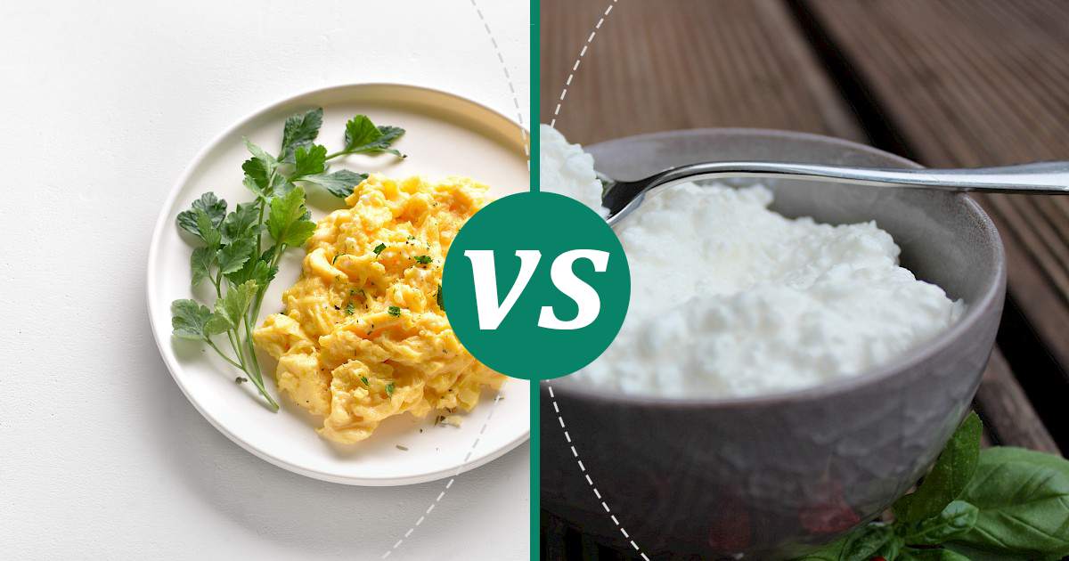Cottage Cheese vs Scrambled Eggs What Should You Choose?