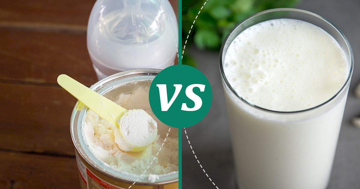 Buttermilk vs Milk Powder Choose Wisely