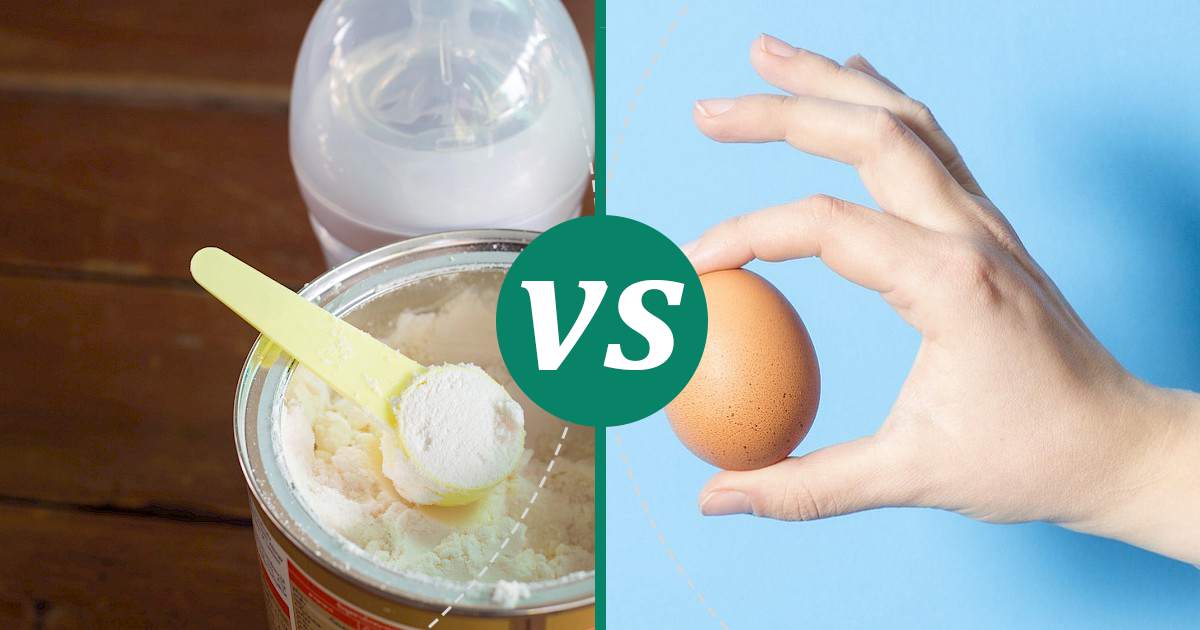 Egg vs Milk Powder Nutrition Guide