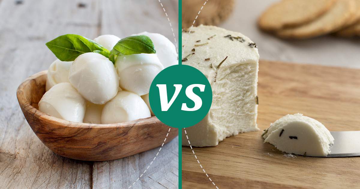 Goat Cheese vs Mozzarella Cheese Health Insights