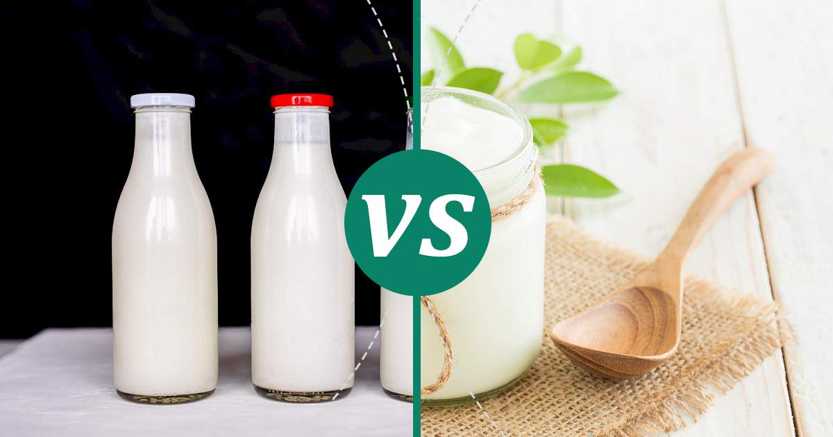 Plain Yogurt vs Kefir Health Insights