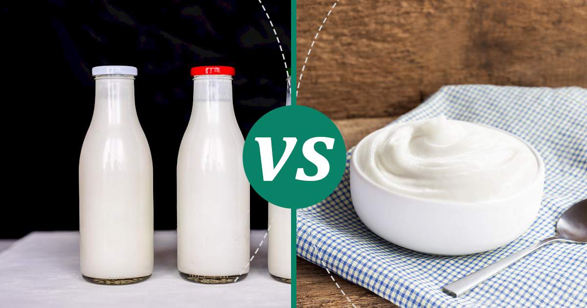 Greek Yoghurt vs Kefir What Should You Choose?