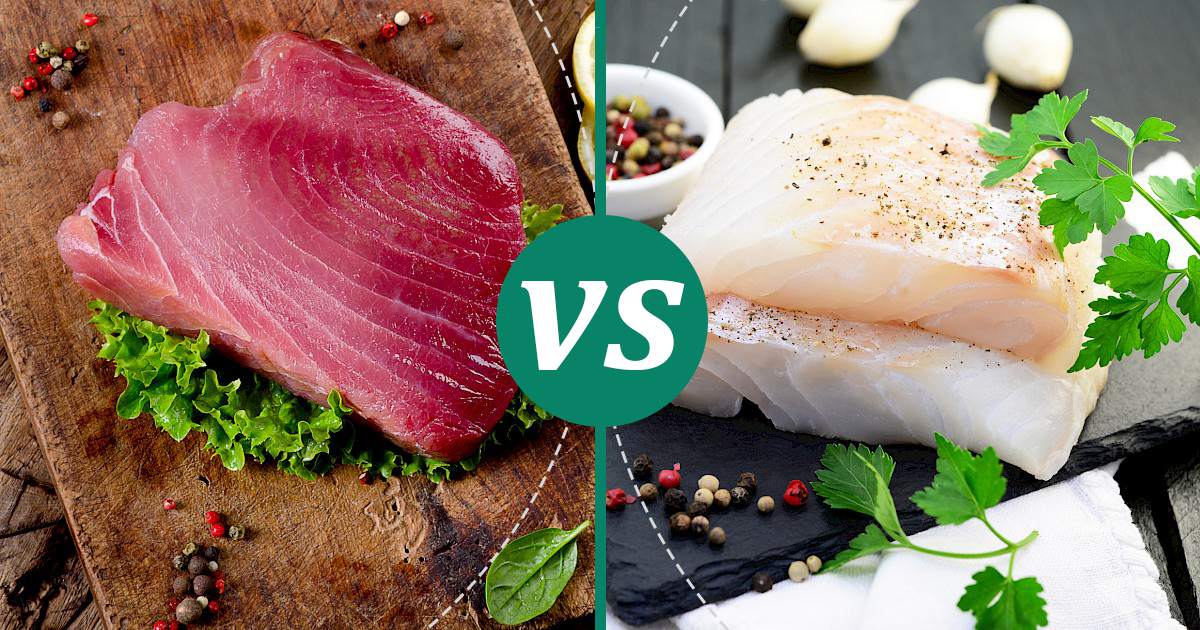 Cod Fillet vs Tuna Nutrition Showdown