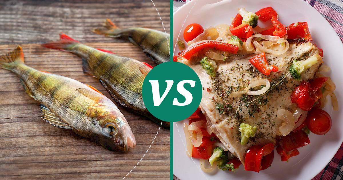 Flounder vs Perch Nutrition Comparison