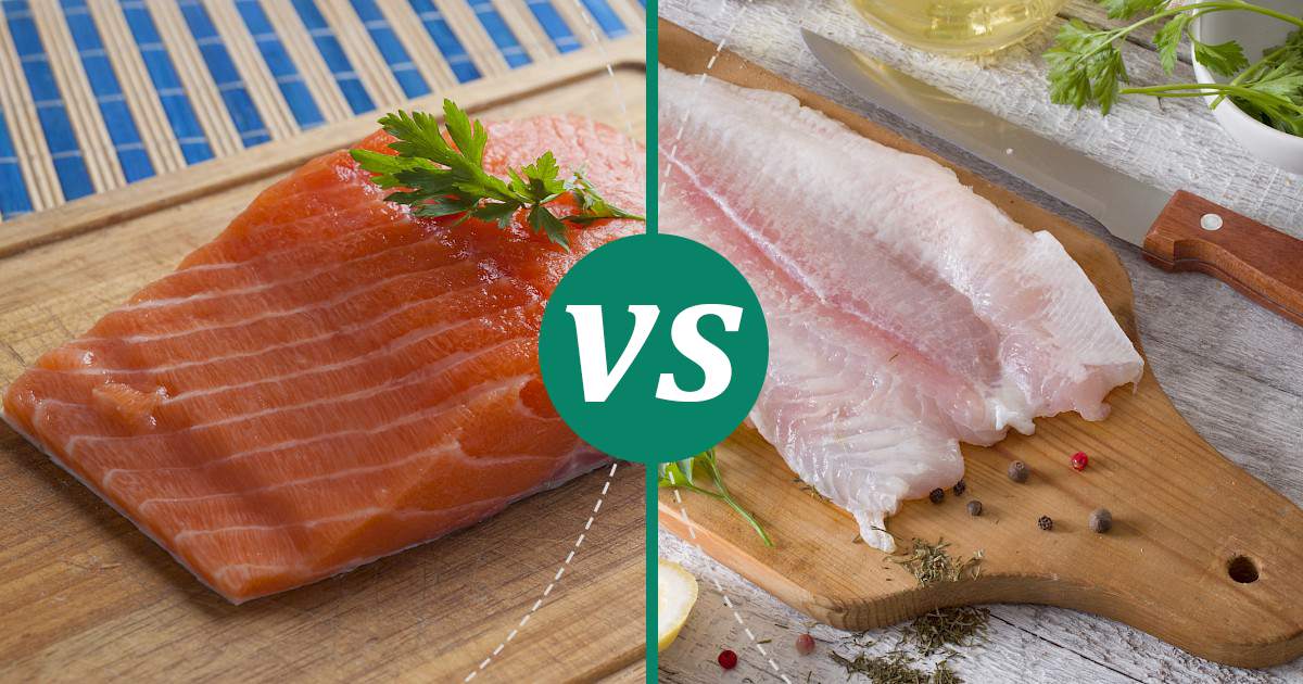 Halibut vs Salmon Nutrition Comparison