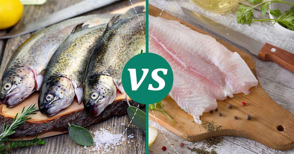 Is Halibut Healthier Than Cod at Angie Sander blog