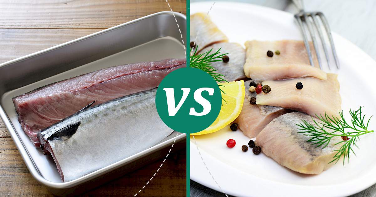 Herring vs Mackerel Nutrition Guide