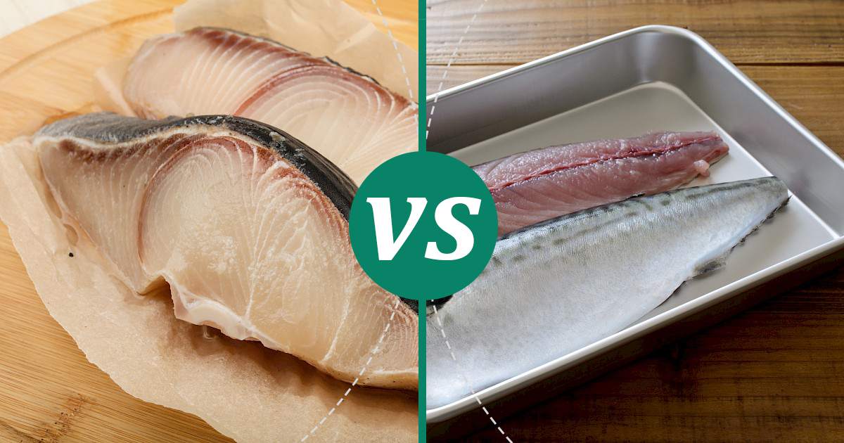 Mackerel vs Shark Meat Nutrition Comparison