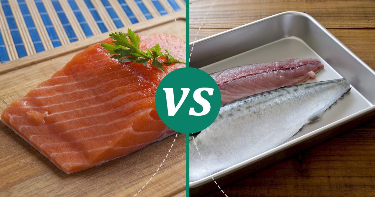 Mackerel vs Salmon Nutrition Showdown