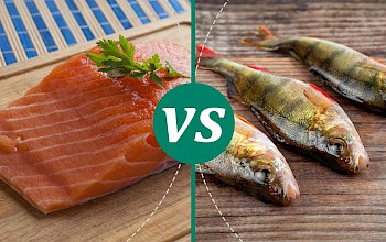 perch vs salmon - calories, nutrition, weight