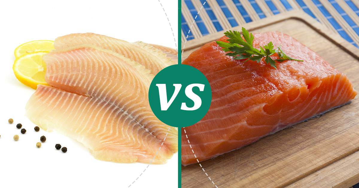 Salmon vs Tilapia (Fillet, Meat) Health Insights