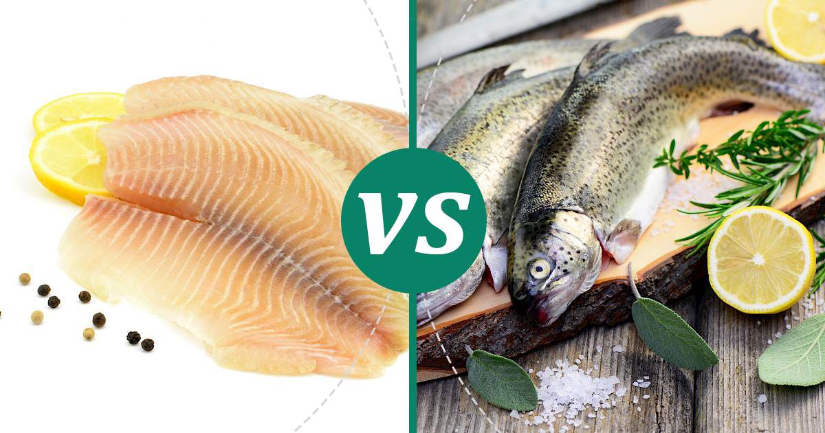 Trout vs Tilapia (Fillet, Meat) Nutrition Comparison