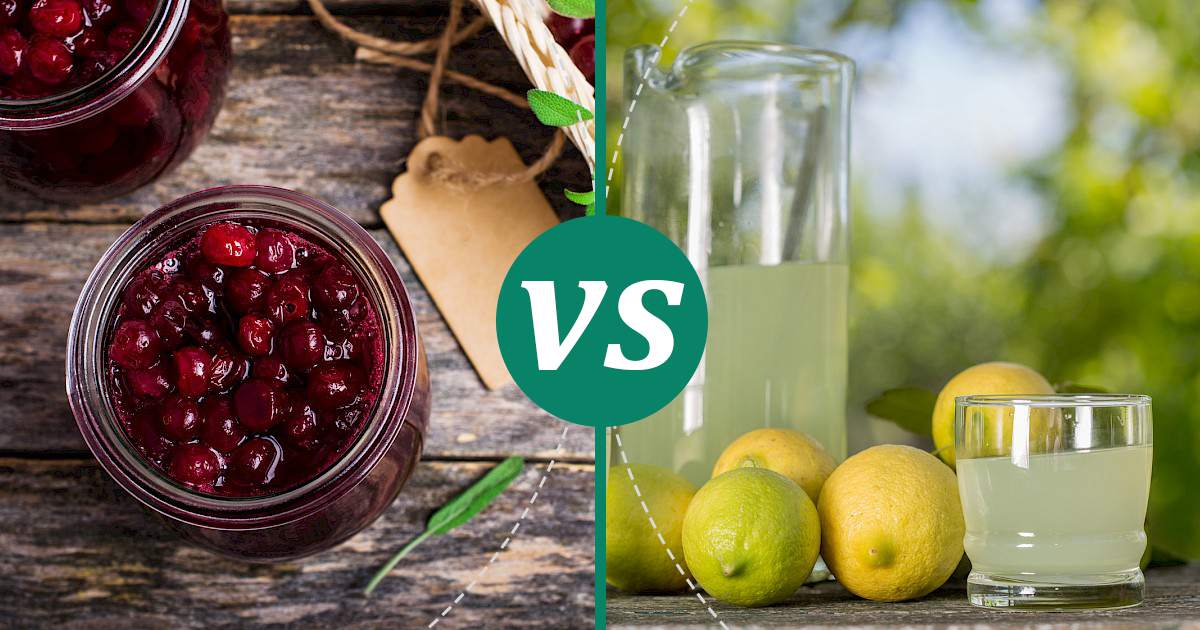 Lemon Juice vs Cranberry Juice What Should You Choose?