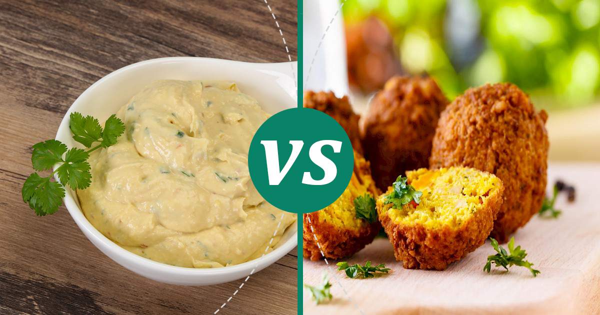 Falafel vs Hummus Choose Wisely