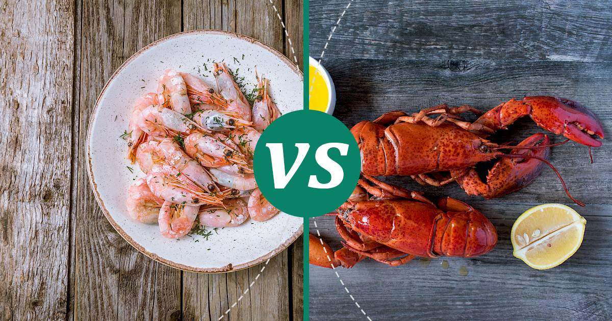 Lobster vs Shrimp Make Healthy Choices