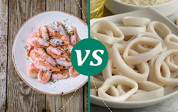 squid vs shrimp - calories, nutrition, weight