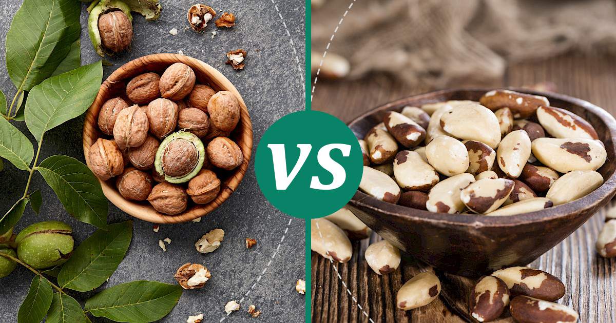 Brazil Nuts vs Walnuts Make Healthy Choices