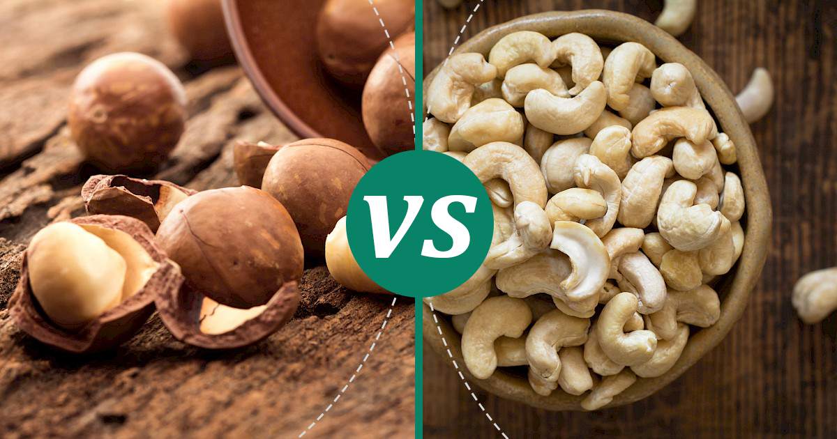 Cashew Nuts vs Macadamia Nuts Choose Wisely
