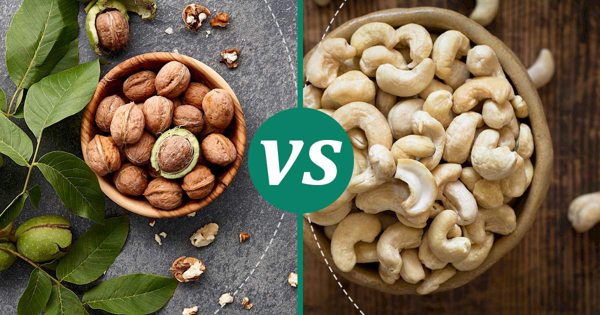 Cashew Nuts vs Walnuts What Should You Choose?