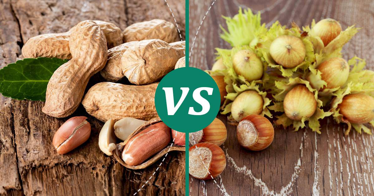 Hazelnuts vs Peanuts Nutrition Showdown