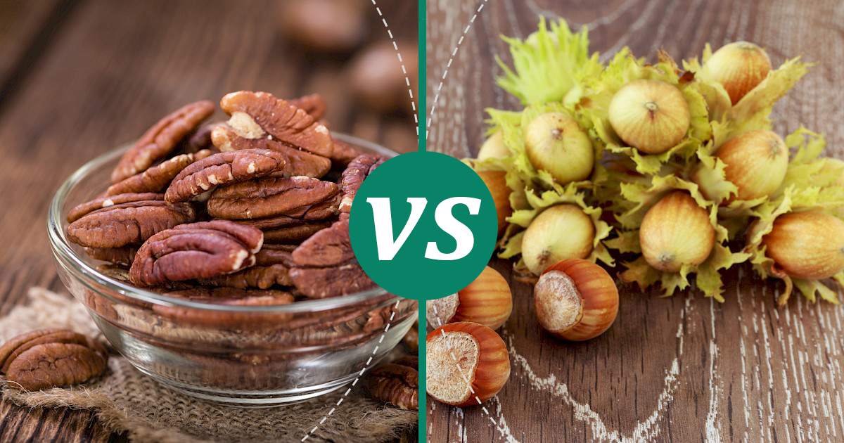 Hazelnuts vs Pecan Nutrition Guide