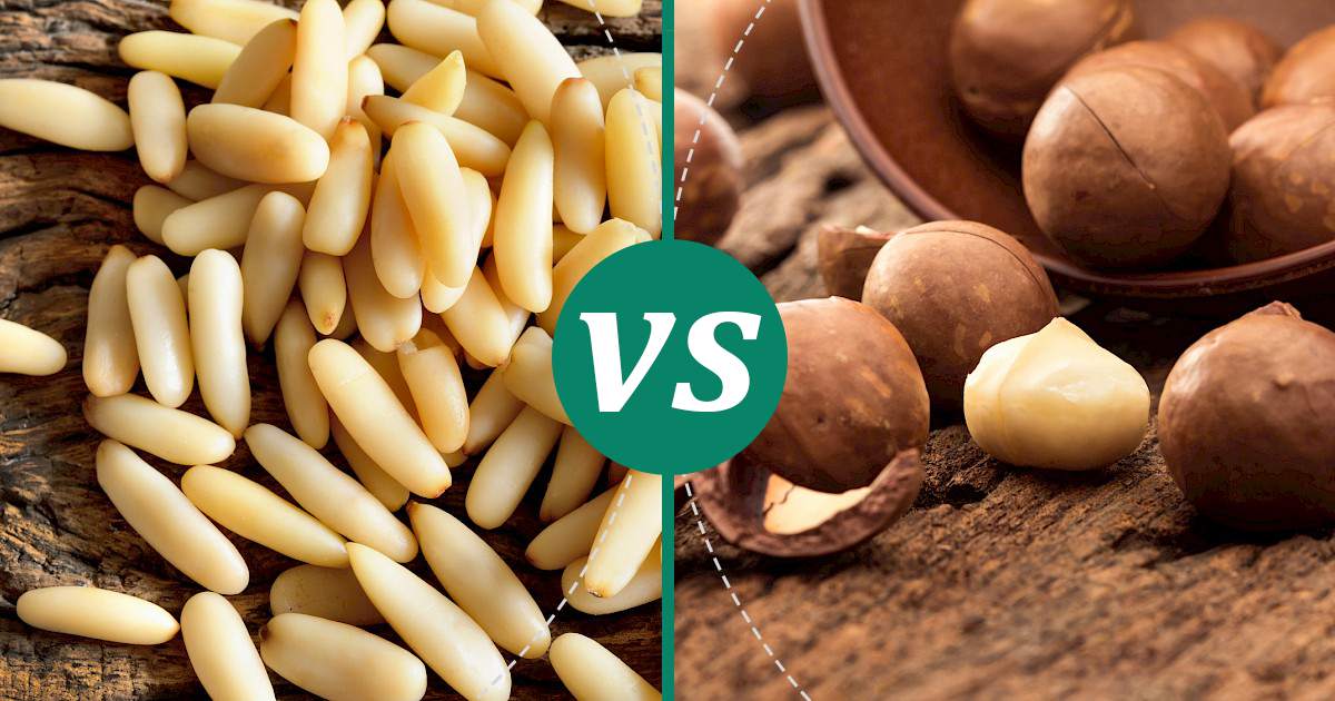Macadamia Nuts vs Pine Nuts Nutrition Showdown