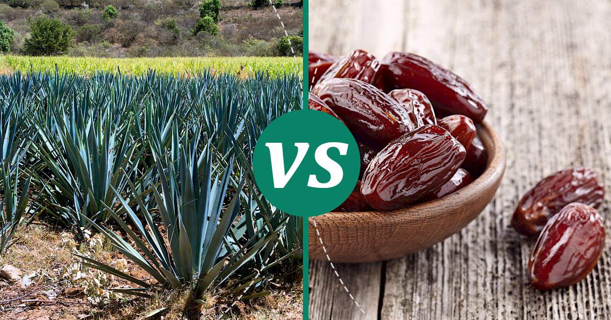Dates vs Dried Agave Health Insights