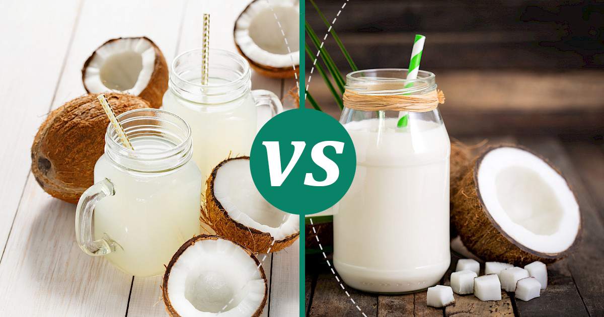 Coconut Milk vs Coconut Water: Nutrition, Calories & Protein Compared