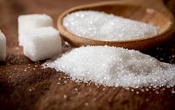 salt vs sugar