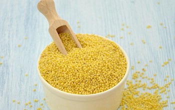 quinoa vs millet
