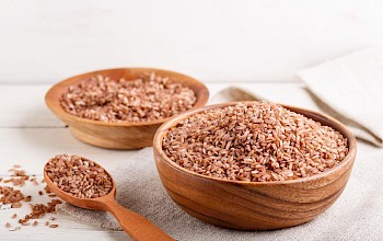quinoa vs brown rice