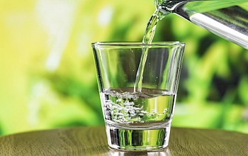 Water - calories, nutrition, weight