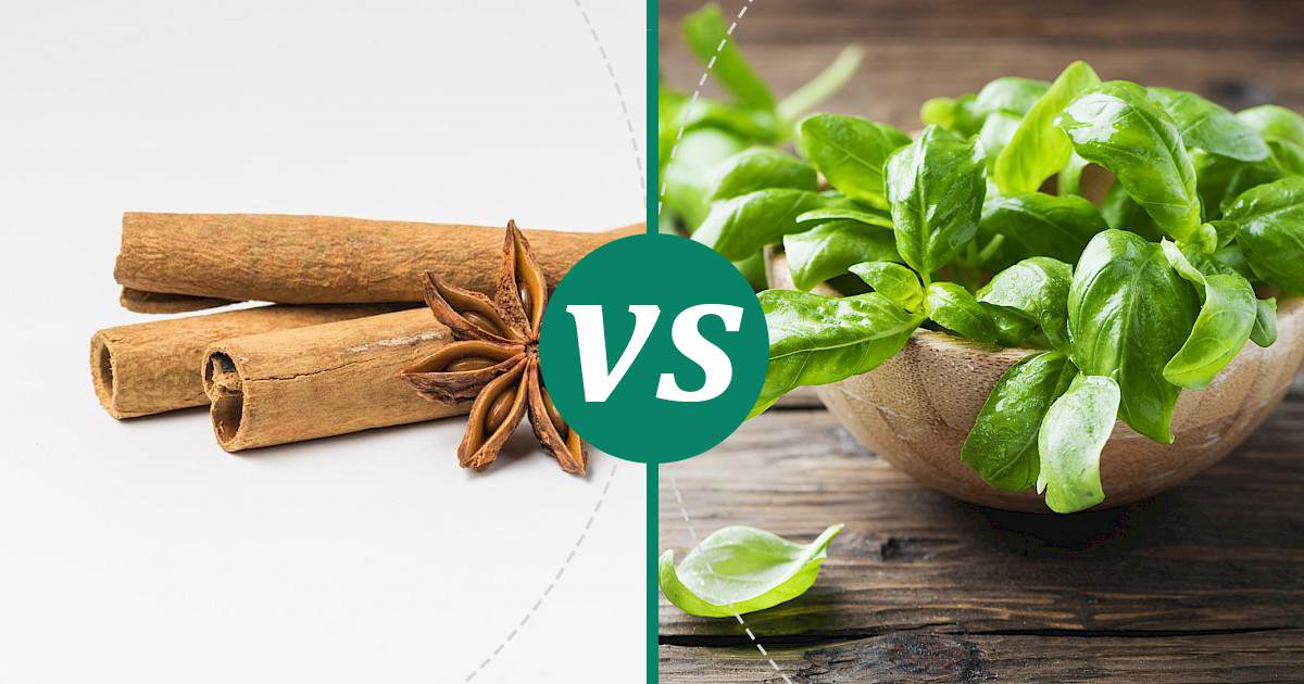Basil vs Cinnamon What Should You Choose?