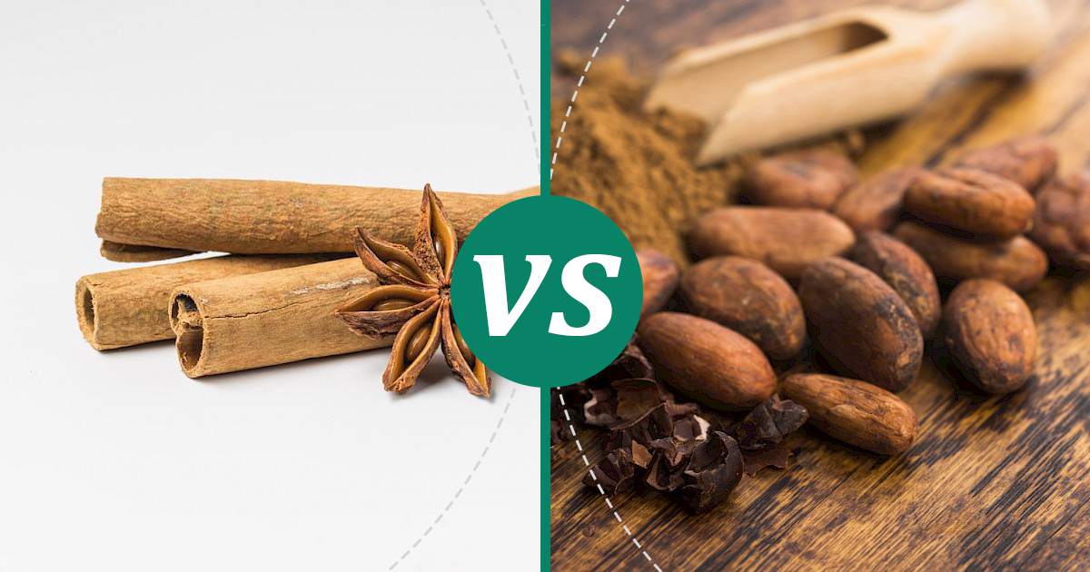 Cocoa vs Cinnamon Nutrition Showdown