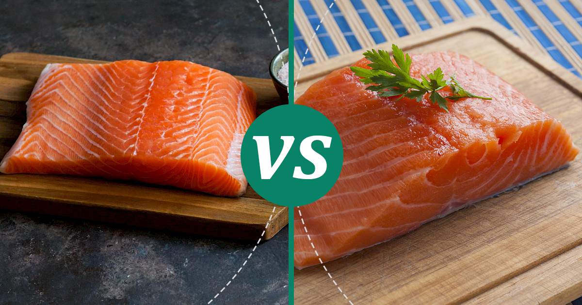 Salmon vs Smoked Or Grilled Salmon Nutrition Comparison