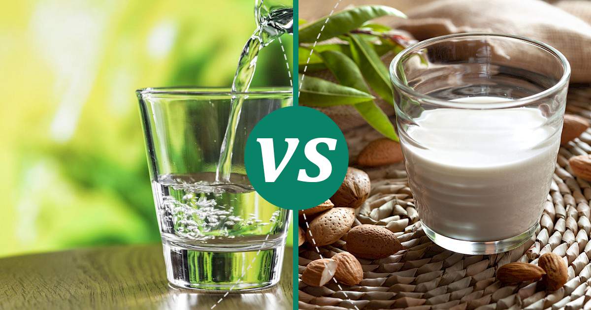 Almond Milk vs Water Nutrition Guide