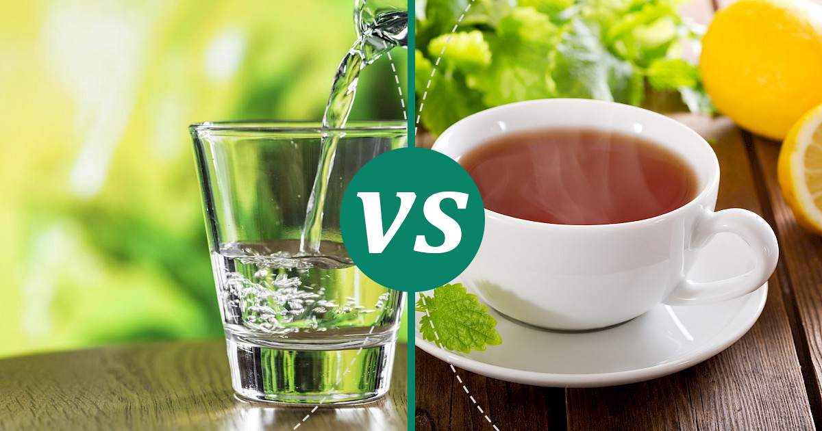 Tea vs Water Nutrition Comparison
