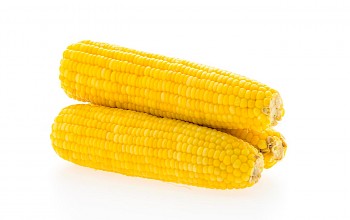 Corn on the cob - calories, nutrition, weight