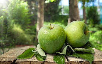 Green apple Granny Smith - calories, nutrition, weight