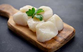 Scallops - calories, nutrition, weight