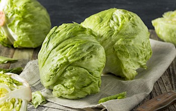 Iceberg lettuce - calories, nutrition, weight