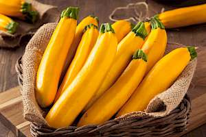 Yellow squash  - calories, kcal, weight, nutrition