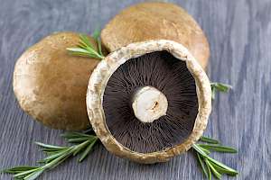 Portabella mushrooms - calories, kcal, weight, nutrition