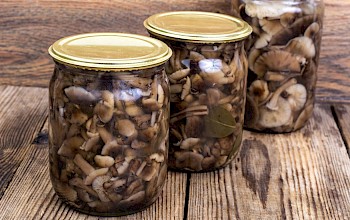 Pickled mushrooms - calories, nutrition, weight